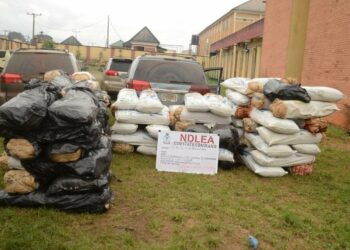 NDLEA Ta Kama Malami Da Matarsa ​​Da Buhunan Tabar Wiwi 360 A Kuros Riba