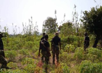 Sojoji Sun Daƙile Harin ‘Yan Bindiga, Sun Ceto Waɗanda Aka Sace A Taraba