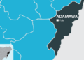 ’Yan Ta’adda Sun Kai Wa Ƙauyuka 2 Hari A Adamawa