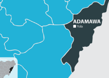 ’Yan Ta’adda Sun Kai Wa Ƙauyuka 2 Hari A Adamawa