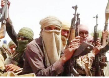 Ƴan Bindigar Daji: Jihohin Arewa 7 Sun Kaddamar Da Rundunar Fatattakar Su