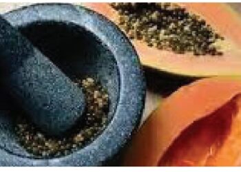 Yadda Ake Amfani Da ‘Ya’yan Gwanda A Samu Lafiya