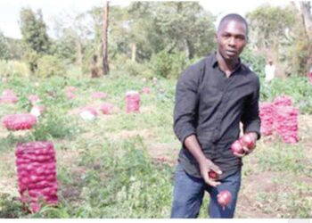 Asusun NADF Ya Tallafa Wa Manoman Albasa 2,000 A Wasu Jihohin Kasar Nan