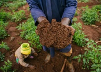 Ranar Bikin Kasar Noma Ta Duniya: Gwamnatin Tarayya Ta Bukaci A Bai Wa Kasar Noma Kariya