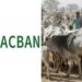 Ƴan Bindiga Sun Buɗe Wuta Kan Makiyaya, Sun Jikkata Mutum 5 A Filato