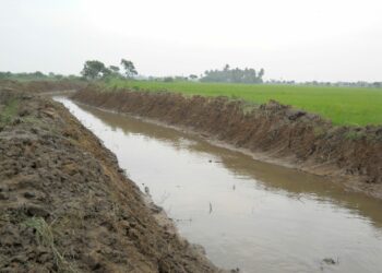 Ƙungiyar Manoma Na Neman Gwamnati Ta Tallafa Mata Da Kayan Aikin Noman Rani