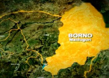 Yadda Yara Suka Kamo Harsasan Harbo Jirgin Sama A Yayin Kamun Kifi A Borno