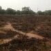 Gobara Ta Ƙone Wani Sashi Na Maƙabarta A Kano