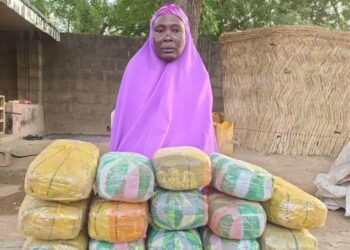 Sojoji Sun Kama Tsohuwa Mai Shekaru 65 Bisa Zargin Safarar Ƙwayoyi Ga Ƴan Boko Haram