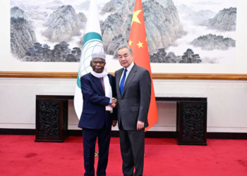 Wang Yi Ya Tattauna Da Babban Sakataren Kungiyar Hadin Kan Musulmai Hussein Ibrahim Taha