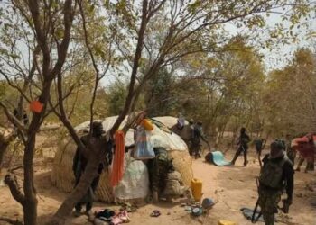 Sojoji Sun Ceto Yarinya Ƴar Shekara 13, Sun Hallaka Ƴan Ta’adda A Dajin Zamfara