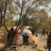 Sojoji Sun Ceto Yarinya Ƴar Shekara 13, Sun Hallaka Ƴan Ta’adda A Dajin Zamfara