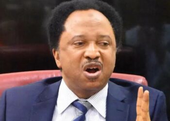Shehu Sani Ya Yi Allah-Wadai Da Buƙatar Shugaban INEC Ya Sauka