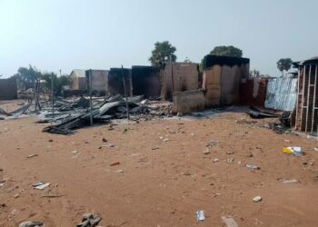 Kafa Kamfanin Sarrafa Gwal A Legas: Ƙungiyar Dattawan Arewa Ta Ƙalubalanci Tinubu