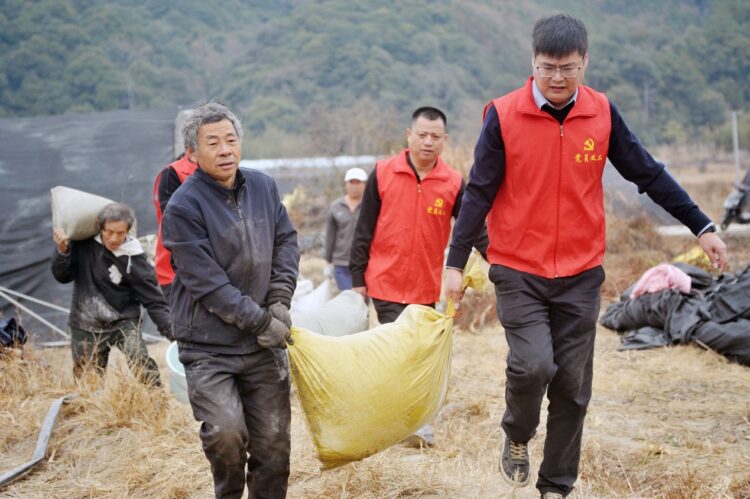 Xi