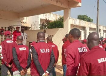 NDLEA Ta Yi Alkawarin Kwace Kadarorin Da Ke Ba Da Mafaka Ga Dillalan Kayoyi