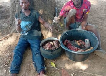 Sojoji Sun Kashe Ɗan Fashi, Sun Kama Ɓarayin Shanu A Binuwe Da Nasarawa