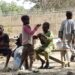 Fiye Da Yara Miliyan 2 Ne Ke Gararamba Da Bacci A Wuri Mai Ƙazanta A Kano – GIOPPINI