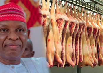 Gwamnatin Kano Ta Haramta Yanka Dabbobi Masu Ɗauke da Juna Biyu A Jihar
