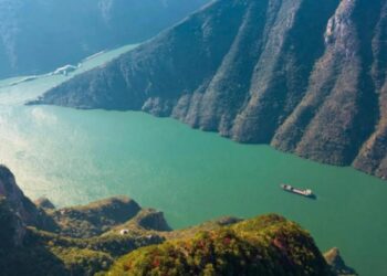 Farfadowar Halittun Ruwa A Kogin Yangtze Ta Nuna Kyakkyawan Yanayi