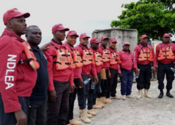 NDLEA Ta Kwace Kwayoyin Pregabalin 75,000 Da Hodar Iblis 556 A Kano