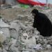 Kasar Sin Ta Yi Tir Da Hare-haren Amurka Da Isra’ila Kan Wata Makaranta A Iran