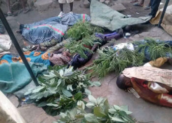 Kashe-Kashe A Arewa: Gamayyar Kungiyoyi Sun Yi Zargin Akwai Hannun Kasashen Waje