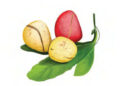 GORON JUMA’A 17-04-2026