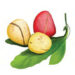 GORON JUMA’A 17-04-2026