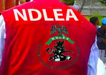 NDLEA Da Kwastam Sun Kulla Yarjejeniyar Haɗin Guiwar Aiki