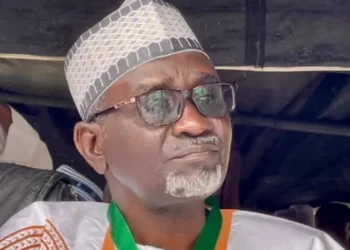 Cire Alamar PDP A Zaben Jihohi Biyu Ta Sa Sardauna Ya Nemo Wa Mabiyansa Mafita —Farfesa Sule Yau
