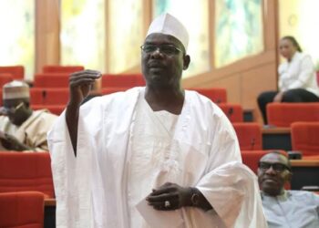Ndume
