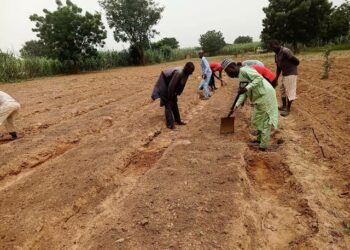 Kwararru Sun Ankarar Da Manoma Kan Tunkarar Noman Kakar Bana