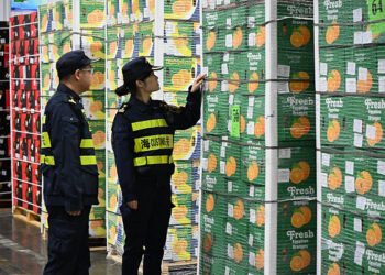 Masanin Tattalin Arziki Na Madagascar: Manufar Soke Haraji Ta Kasar Sin Za Ta Kyautata Tsarin Tattalin Arzikin Zamani Na Nahiyar Afirka