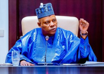 Mutane Sun Gaya Wa Tinubu Ina Shirin Kashe Shi – Shettima