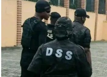 Laifukan Intanet: Kotun Abuja Ta Karɓi Rahoton DSS, Ta Ba Da Belin Wani Ɗan Gwagwarmaya