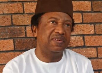 Ya Dace ‘Yan Arewa Su Ƙara Marawa Tinubu Baya Domin Kammala Wa’adi Na Biyu — Shehu Sani