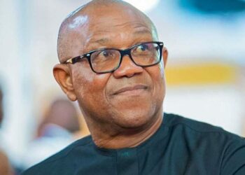 Alƙawarin Wa’adi Ɗaya Na Peter Obi Ya Raba Kawunan Ƴan Arewa