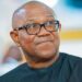Alƙawarin Wa’adi Ɗaya Na Peter Obi Ya Raba Kawunan Ƴan Arewa