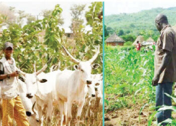 Sabon Tsarin Tattaunawa Don Kawo Karshen Rikicin Fulani Makiyaya Da Manoma