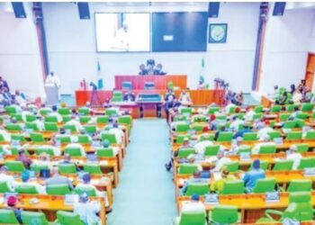Laifukan Intanet: Kotun Abuja Ta Karɓi Rahoton DSS, Ta Ba Da Belin Wani Ɗan Gwagwarmaya