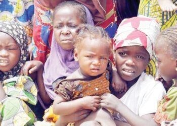 Laifukan Intanet: Kotun Abuja Ta Karɓi Rahoton DSS, Ta Ba Da Belin Wani Ɗan Gwagwarmaya