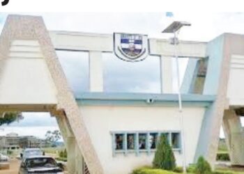 Laifukan Intanet: Kotun Abuja Ta Karɓi Rahoton DSS, Ta Ba Da Belin Wani Ɗan Gwagwarmaya
