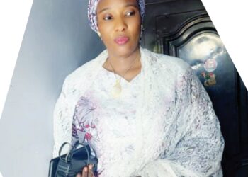 Laifukan Intanet: Kotun Abuja Ta Karɓi Rahoton DSS, Ta Ba Da Belin Wani Ɗan Gwagwarmaya