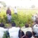 Gwamnatin Tarayya Ta Ƙaddamar Da Sabbin Cibiyoyin Kula Da Lafiyar Dabbobi