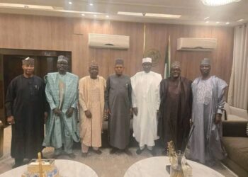 2027: Masu Neman Takarar Gwamnan APC A Yobe Sun Gana Da Shettima Kan Rikicin Zaɓen Fidda Gwani