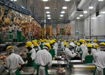 Namibia Na Nazartar Sabbin Damammaki Karkashin Manufar Yafe Haraji Ta Gwamnatin Kasar Sin