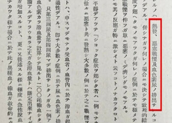 Wani Gidan Adana Kayan Tarihi Na Sin Ya Fitar Da Rahoton Yadda Dakarun Japan Suka Rika Zubawa Mutane Jinin Dabbobi Yayin Yakin Duniya Na Biyu