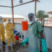 Liu Guozhong Ya Halarci Taron Koli Kan Yadda Kasashen Afirka Za Su Fuskanci Cutar Ebola