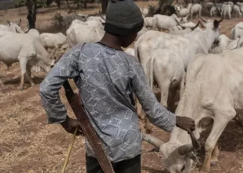 Rikicin Manoma Da Makiyaya Ya Kashe Mutane 7, Ya Jikkata 6 A Bauchi